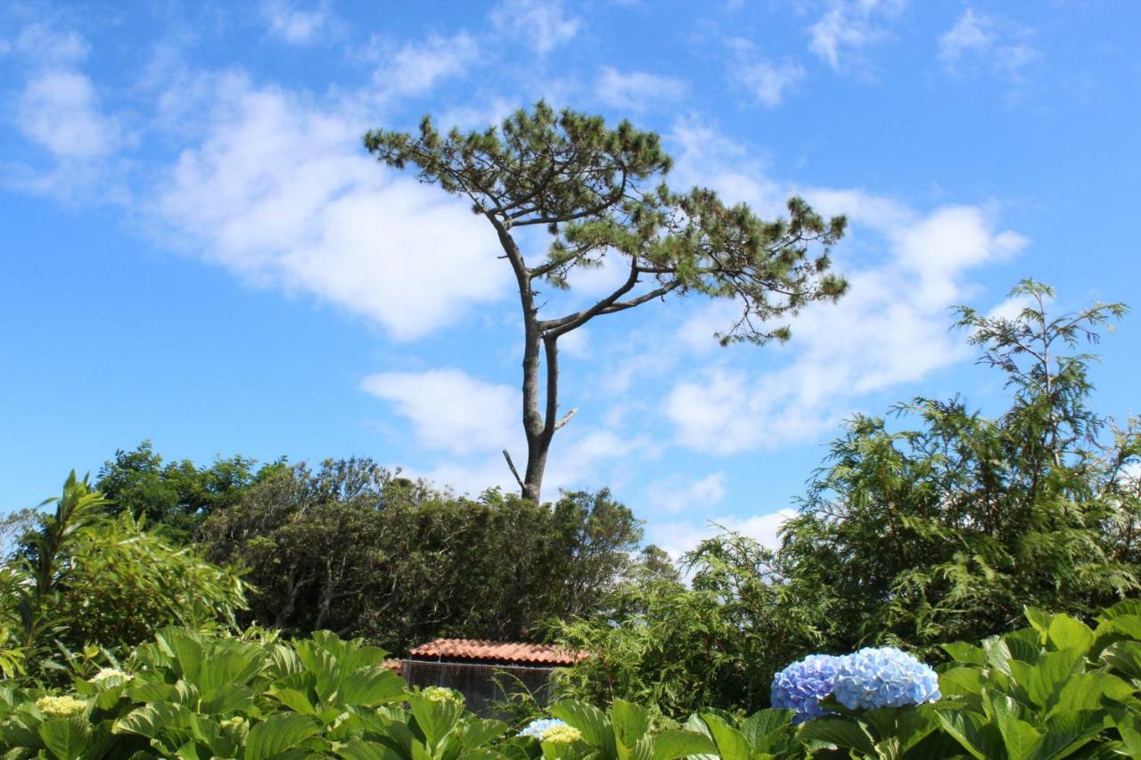 Quinta do Torreao Capelas Exterior foto